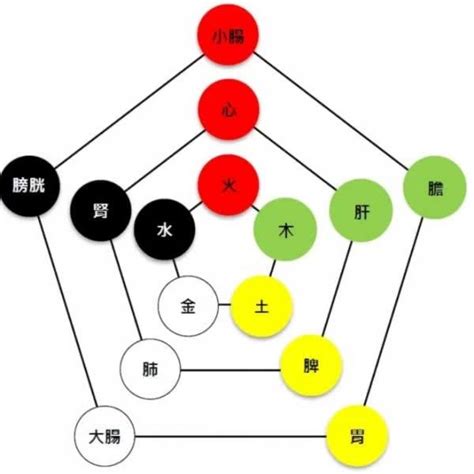 心肝脾肺腎五行